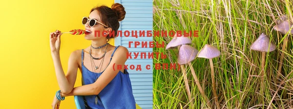 хмурый Михайлов