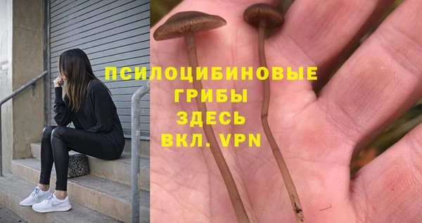 ПСИЛОЦИБИНОВЫЕ ГРИБЫ Видное