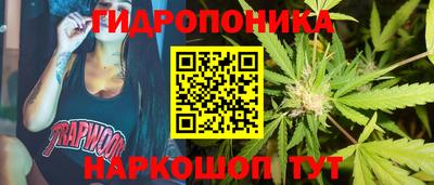 сатива Кунгур