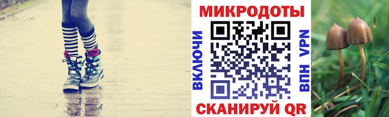 Галлюциногенные грибы мухоморы что такое наркотик Фурманов