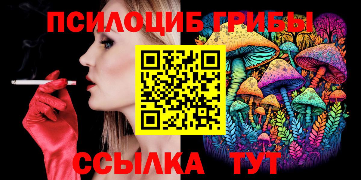 Галлюциногенные грибы MAGIC MUSHROOMS  Фурманов  Псилоцибиновые грибы прущие грибы 