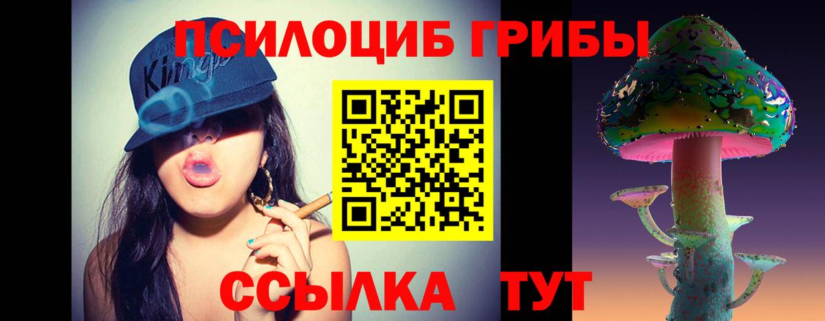 Псилоцибиновые грибы мицелий Фурманов
